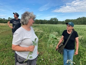 Ingrid Sommar och Iris Dahlén diskuterar sojans utveckling på fältet.