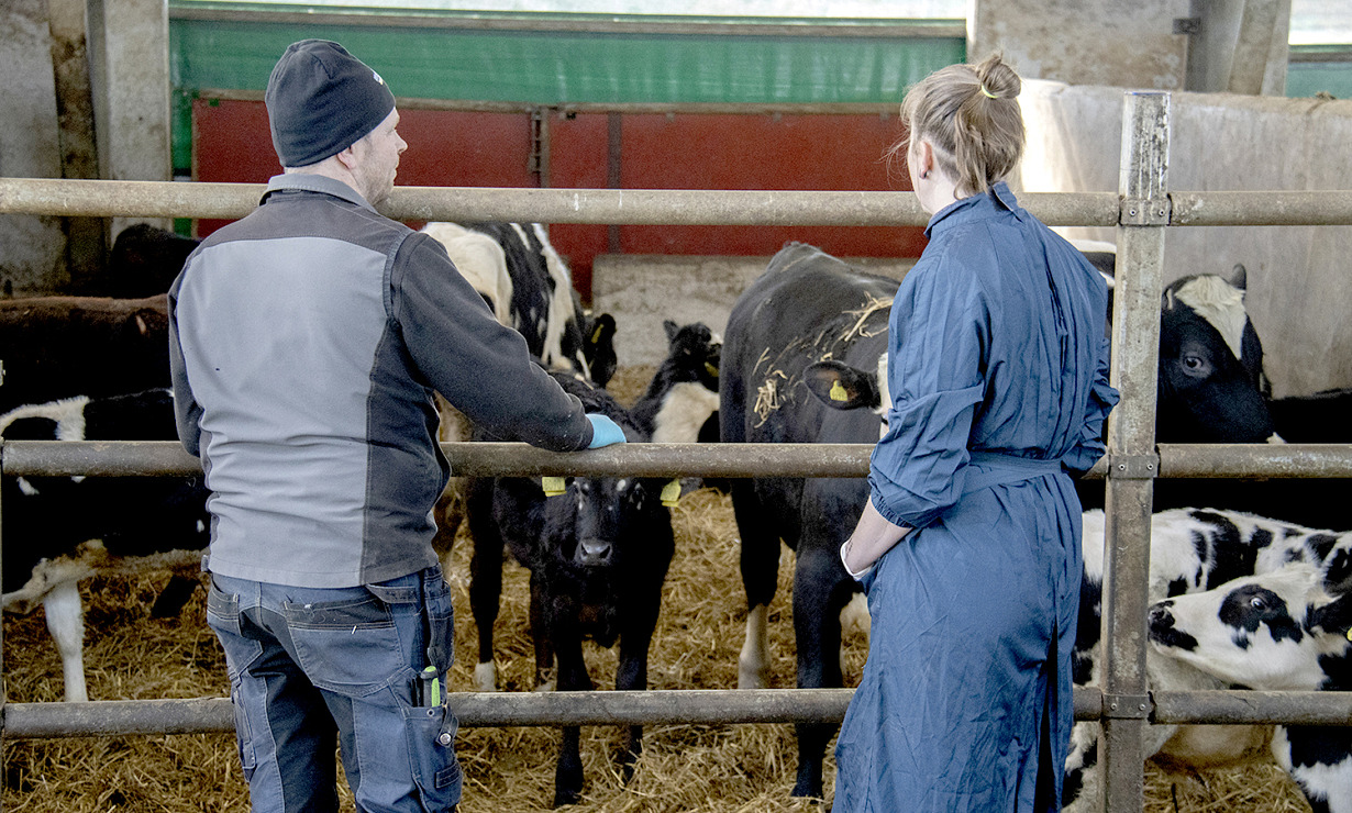 En bra relation mellan lantbrukare och veterinär gör det lättare att vara restriktiv med antibiotika utan att det leder till konflikter.