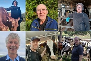 Vilka mål man har med sin avel skiljer sig åt. Här berättar sex stycken mjölkföretagare hur de ser på avel och vad som är viktigt för dem.