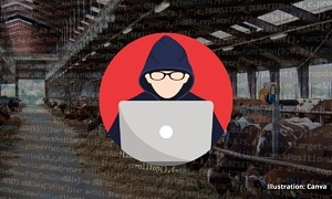 Bildmontage av ett kostall med kod över hela bilden samt en rund illustration av en misstänkt hacker med en laptop.