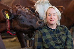 Sanna Soleskog i grönrutig skjorta och kort blont hår, omgiven av bruna mjölkkor. Nu debuterar hon som författare med en roman i lantbruksmiljö.